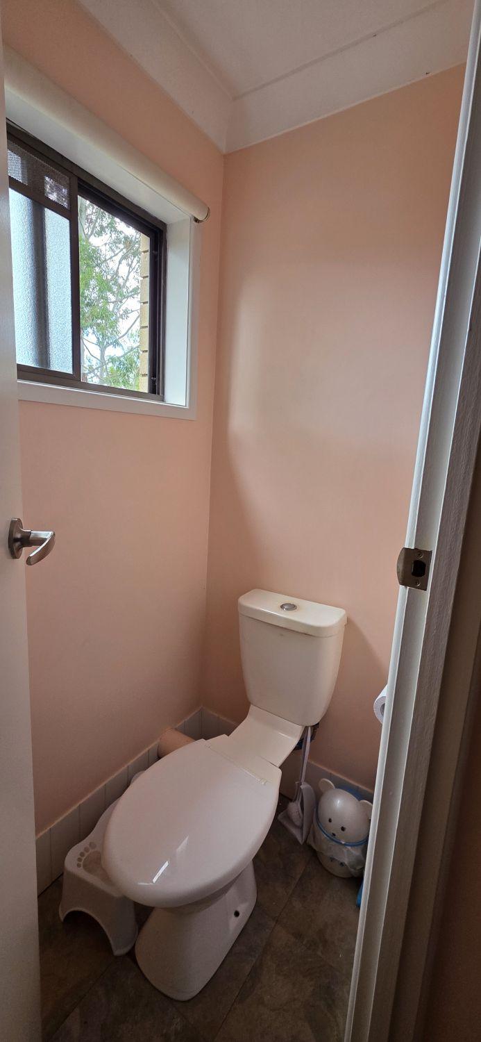 Separate Tarragindi toilet before renovation